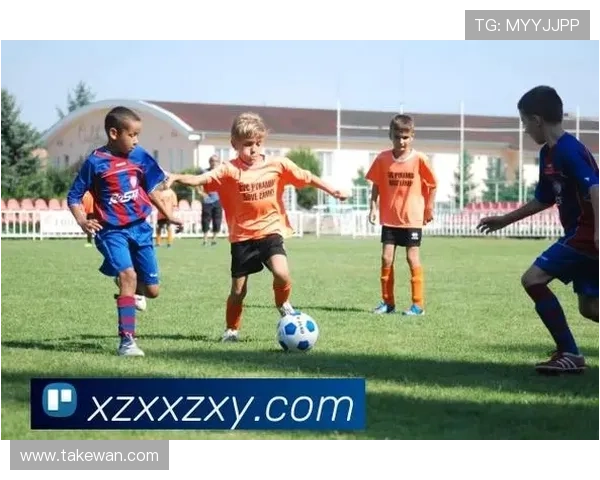 星空体育app网址：最新官方入口提供全方位体育赛事直播与视频播放